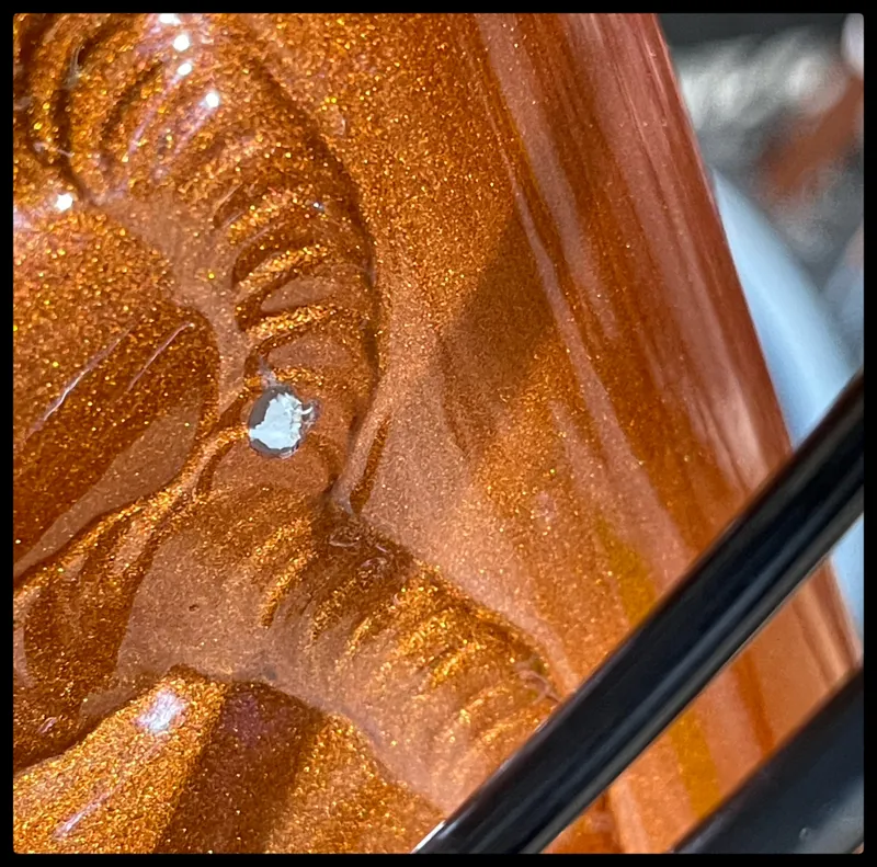 Giant Talon 29 3 Medium Amber Glow 2022-10